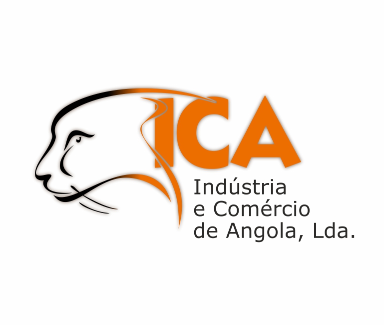 Website icaangola.com